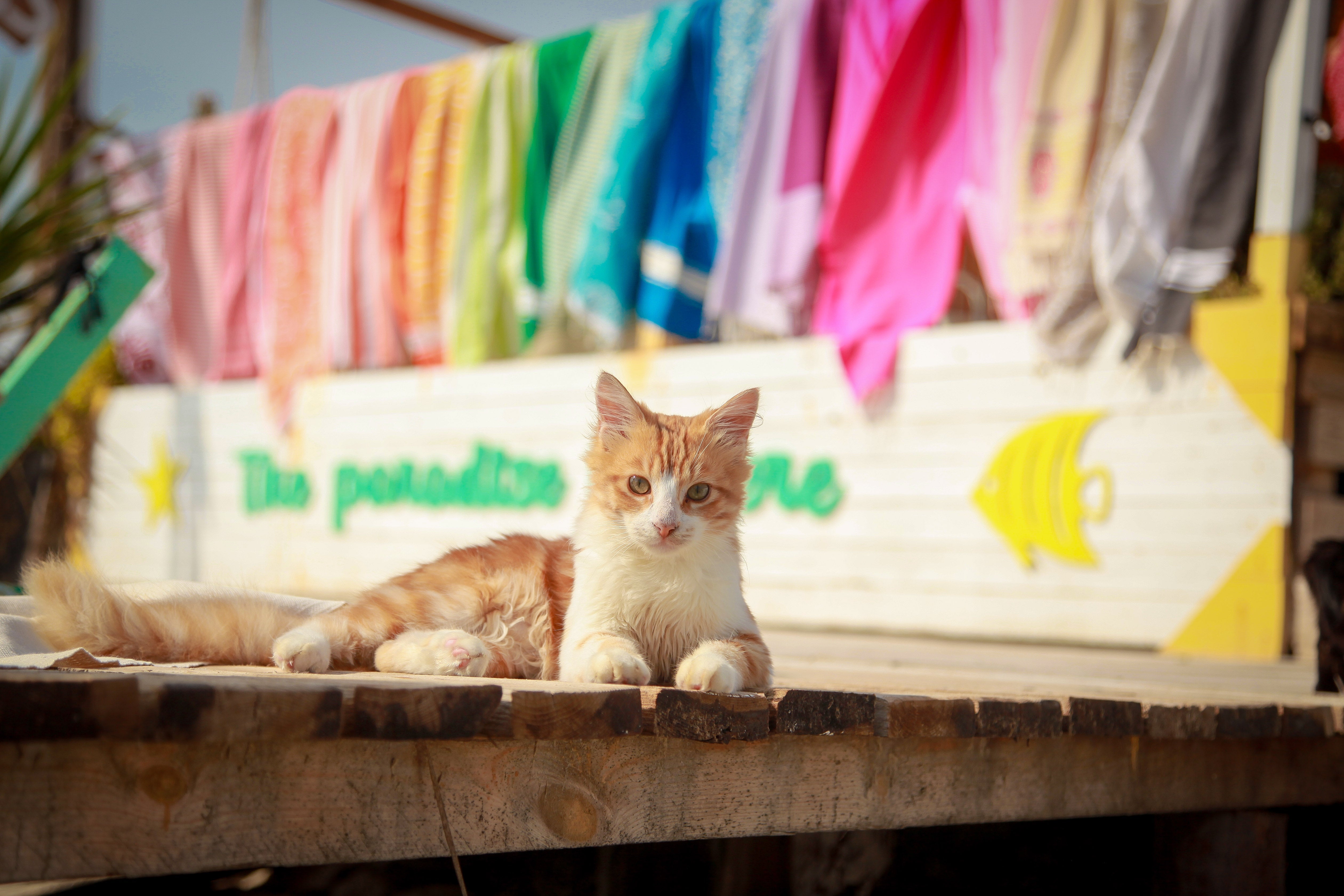 La fouta : un indispensable pour un été méditerranéen