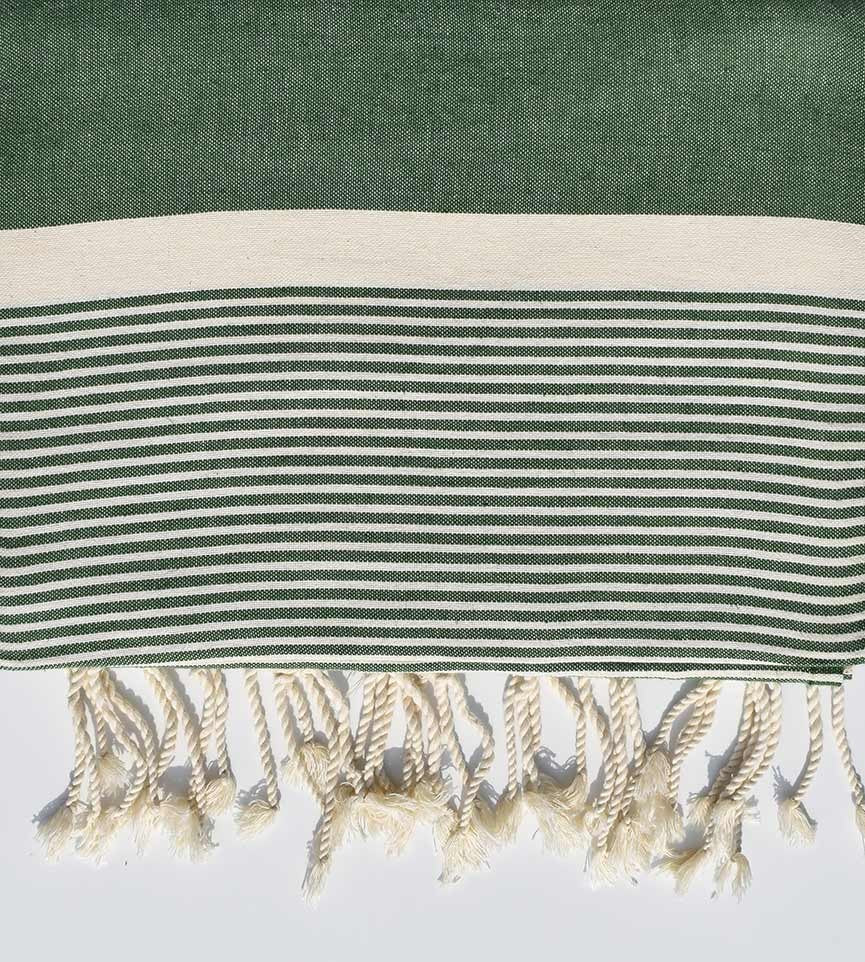 JETé vert mousse avec rayures  - 2